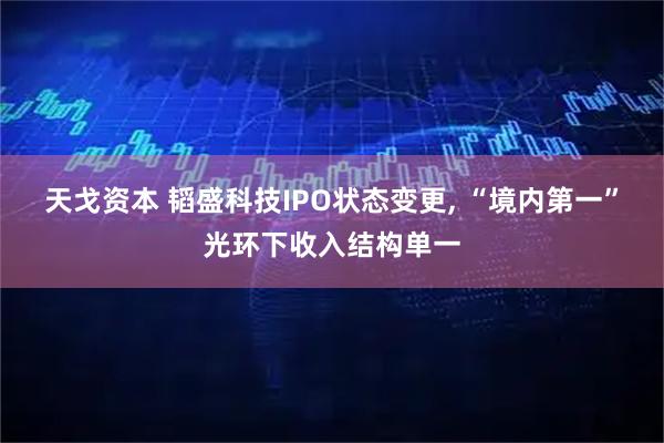 天戈资本 韬盛科技IPO状态变更, “境内第一”光环下收入结构单一