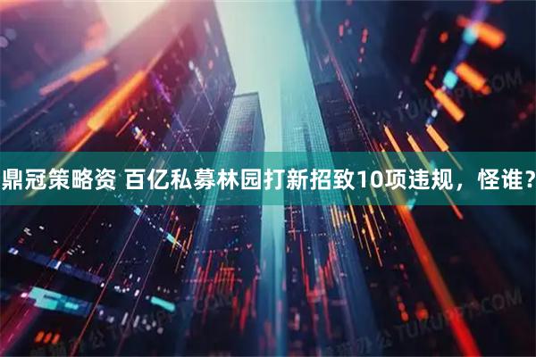 鼎冠策略资 百亿私募林园打新招致10项违规，怪谁？