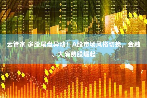 云管家 多股尾盘异动！A股市场风格切换，金融、大消费股崛起