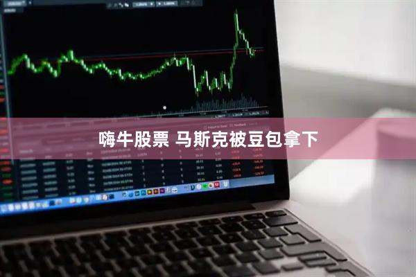 嗨牛股票 马斯克被豆包拿下
